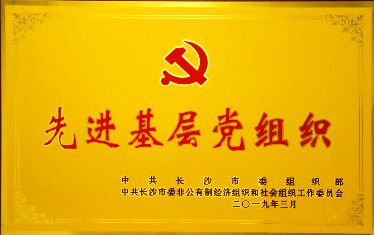 两争一创引领，五化建设保障，党支部荣获长沙市“先进基层党组织”称号